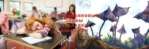 spice Беломорск