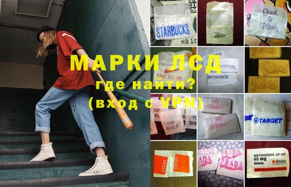 spice Беломорск