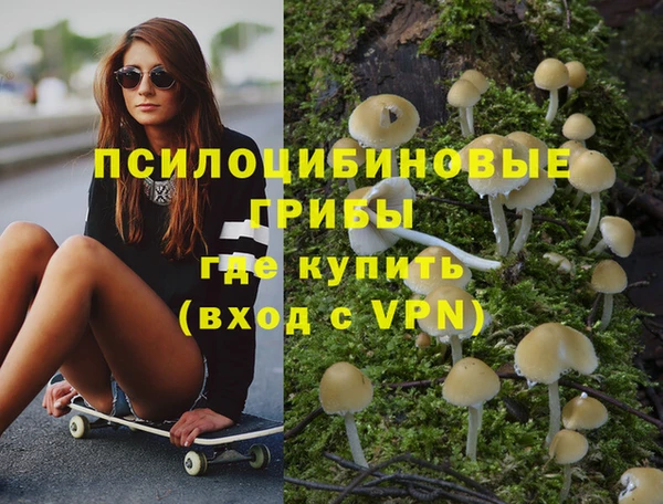 spice Беломорск