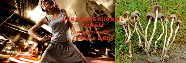 spice Беломорск