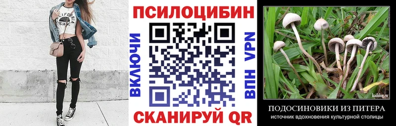 blacksprut вход  Лыткарино  Галлюциногенные грибы Psilocybe 